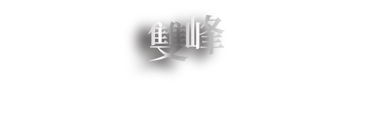 飽滿的雙峰深度勾勒自信的弧度